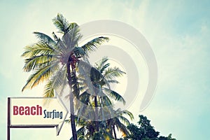 Vintage surf beach signage and coconut palm tree on tropical beach blue sky