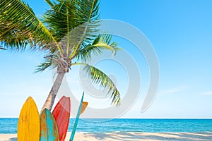 Vintage surf board with palm tree on tropical beach