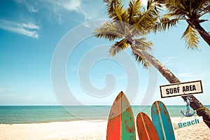 Vintage surfboard with palm tree on tropical beach in summer.