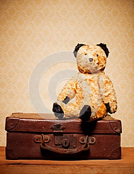 Vintage Teddy Bear photo