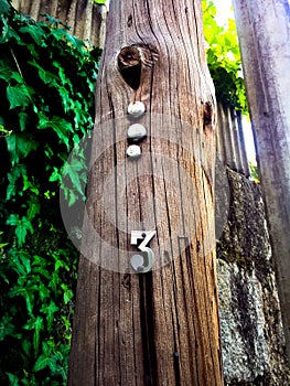 Vintage Telephone Pole Number 3