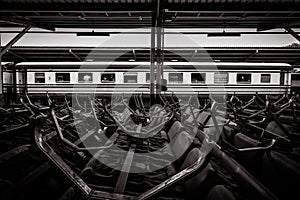 Vintage Thailand train main station with black and white tone.