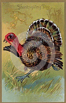 Vintage Thanksgiving Day card