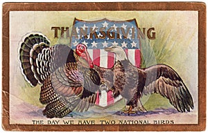 1909 Vintage Thanksgiving Postcard Two National Birds photo