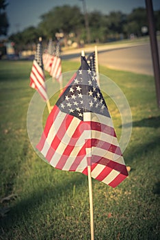 Vintage American Flags on green grass lawn near street
