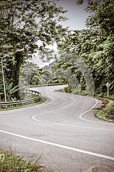Vintage toned image of snake curved road