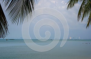 Vintage toned palm tree over sky background