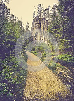 Vintage toned photo of a path in forest.