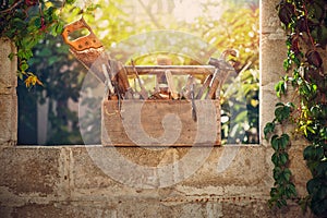 Vintage toolbox at the yard at sunset
