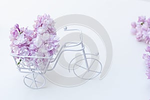 Vintage toy bike white. Bouquet of lilac, holiday decoration