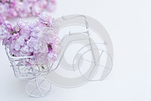 Vintage toy bike white. Bouquet of lilac, holiday decoration