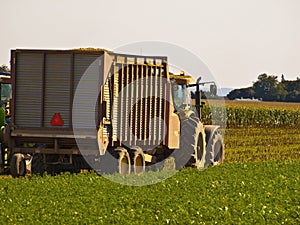 Vintage Tractor in an Amish Farm