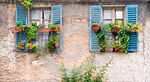 Vintage, traditional italian house wall with old blue window shutters and many plant pots. Typical european postcard view.