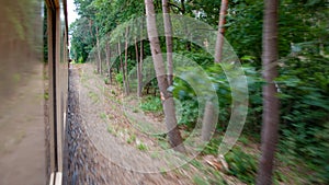 Vintage train riding fast along forests with dynamic exposure effect
