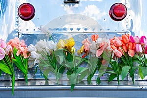 Vintage travel trailer camper with aluminum siding and a tail gate bumper covered in tulip flowers, depicting the hippie era or a