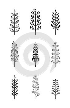 Vintage tree branches vector set in hand drawn style with leaves and flowers isolated on white background. Set of different linear