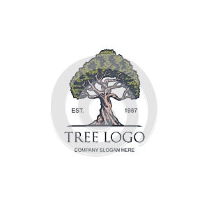 Vintage tree vector illustration logo design template