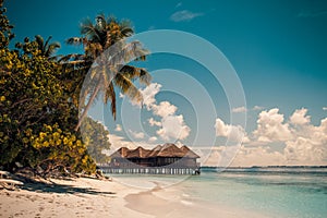 Vintage Tropical beach background