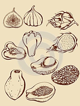 Vintage tropical fruits
