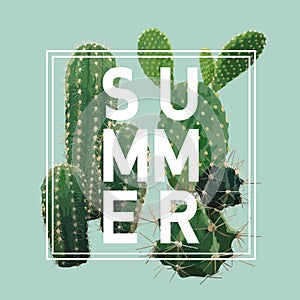 Vintage Tropical Summer Cactus Graphic Design for T shirt, Fashion, Prints