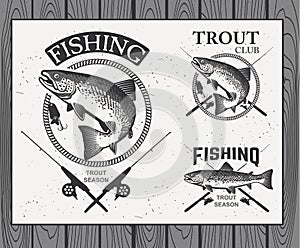 Vintage trout fishing emblems, labels and design photo