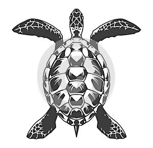 Vintage turtle top view concept