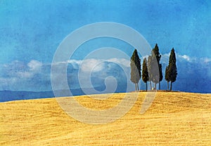 Vintage tuscan landscape