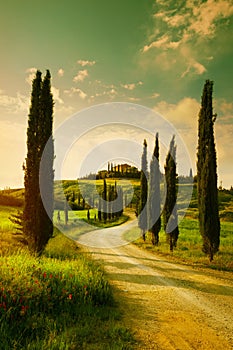 Vintage Tuscany countryside landscape photo