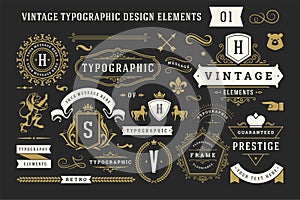 Vintage typographic decorative ornament design elements set vector illustration photo