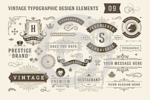 Vintage typographic design elements set vector illustration.