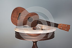 Vintage Ukulele and Sea Shells