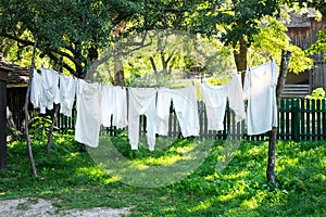 Vintage underwear drying in a sunny garden