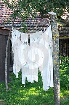 Vintage underwear drying in a sunny garden