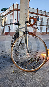 Vintage urban bicycle photo