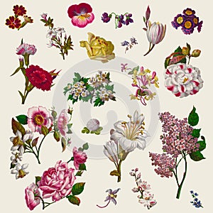 Vintage Victorian Flowers Clip Art