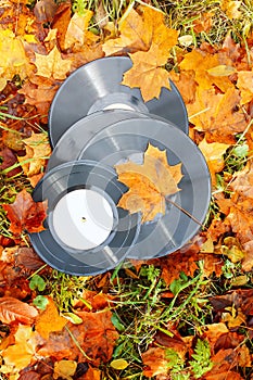Vintage vinyl records on fall autumn leaves.