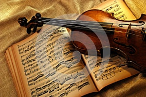 Vintage violin