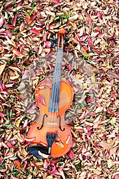 Vintage violin in a leaf