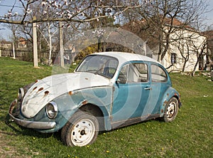 Vintage volkswagen beetle car rusting in the backyard in a villa