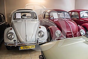 Vintage Volkswagen Beetle cars