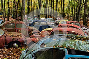 Vintage VW Beetle - Volkswagen Type I - Pennsylvania Junkyard