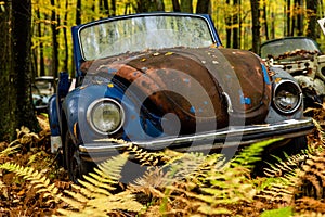 Vintage VW Beetle - Volkswagen Type I - Pennsylvania Junkyard