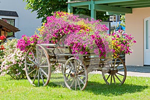 Vintage wagon decorated with annual flowers II