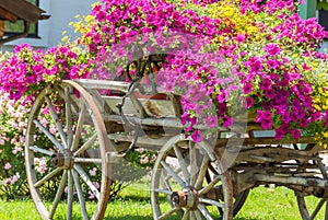 Vintage wagon decorated with annual flowers III