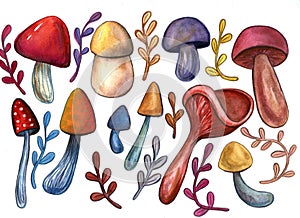 Vintage Watercolor autumn fall mushrooms, branches leaves set. Hand drawn isolated objects on white and colorful background. Fall