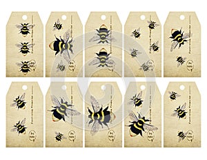 Vintage Watercolor Bee Gift Tags