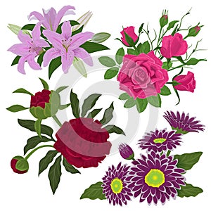 Vintage watercolor style flower buds bouquet elegant nature romantic plants flowered petal vector illustration.