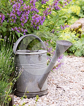Vintage watering can