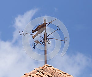 Vintage weathervane on roof