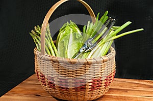 Vintage weaved reed basket of organic home grown vegetables